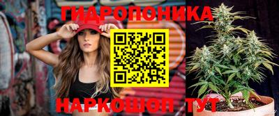 скорость Кандалакша