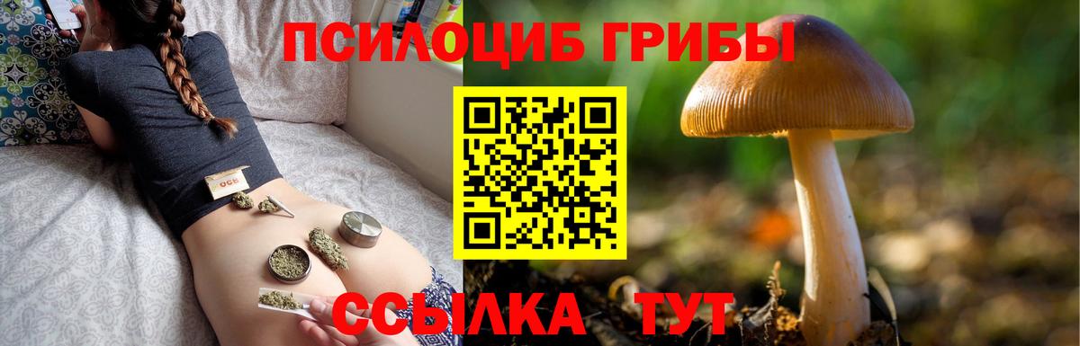 Кстово  Псилоцибиновые грибы Psilocybe  Вход с VPN 