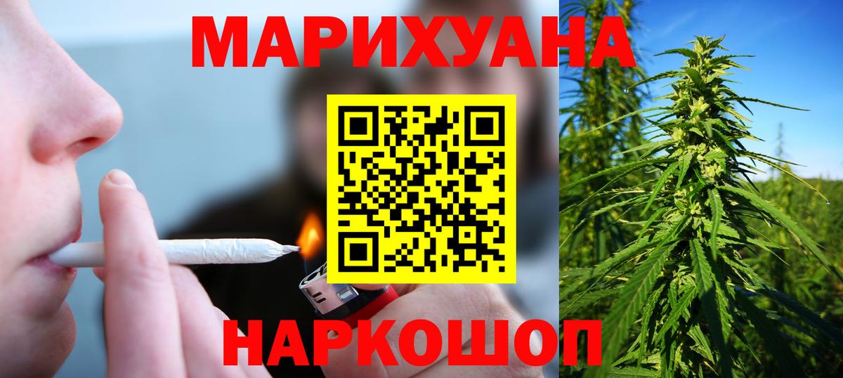 Каннабис конопля Кстово