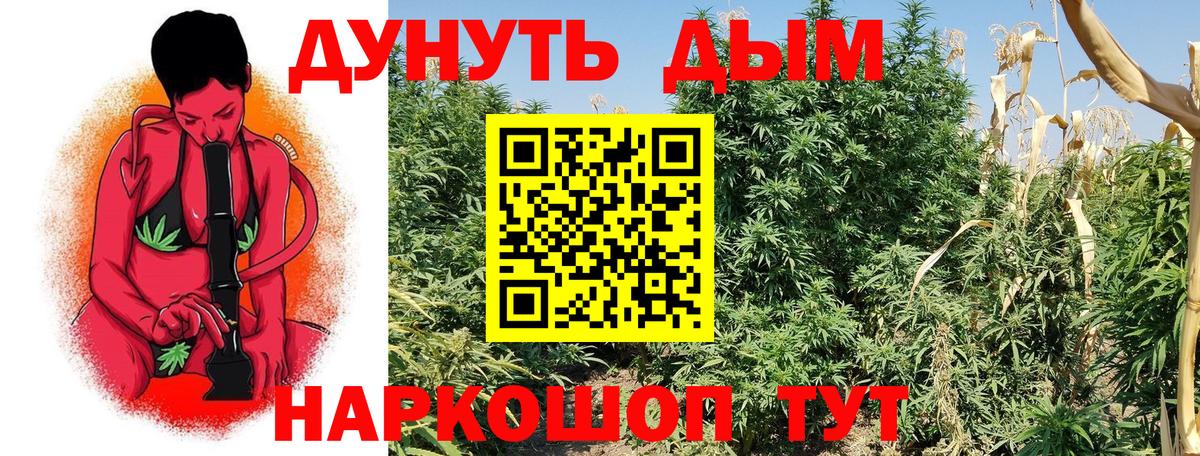 Шишки марихуана AK-47  Вход с VPN  Бошки Шишки индика  Бошки марихуана MAZAR  Кстово  Каннабис OG Kush 